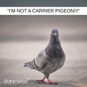 When Project Managers Become Project Messengers blog