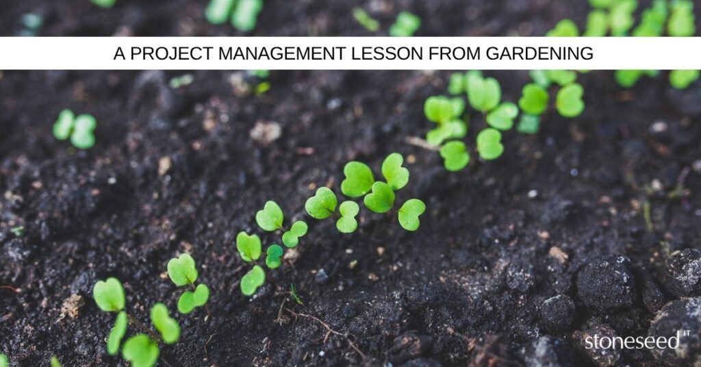 A zoomed in picture of green plants growing from in the soil in a garden.