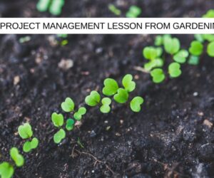 Zoomed in picture of plants growing from the ground