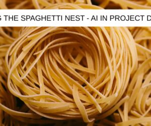 Dried spaghetti nest